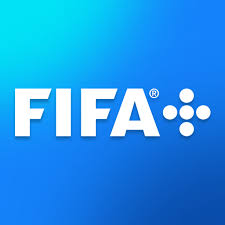 fifa sports